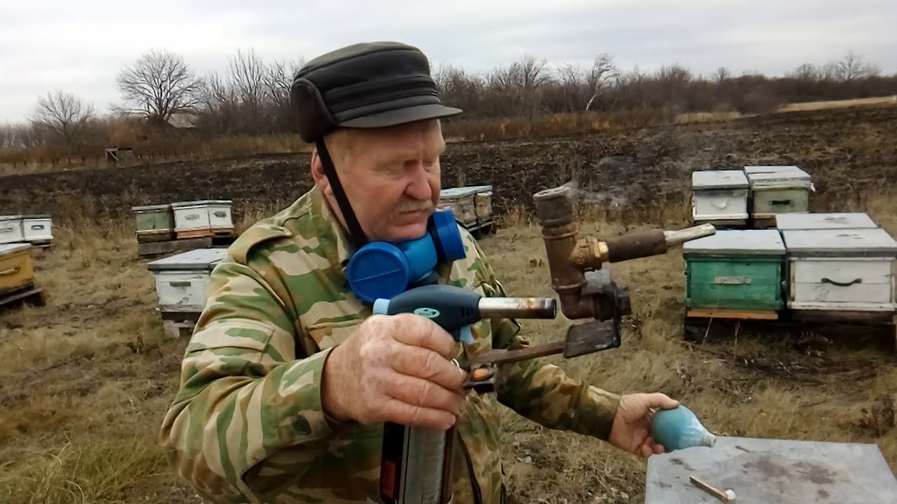 Обработка пчел Щавелевой кислотой