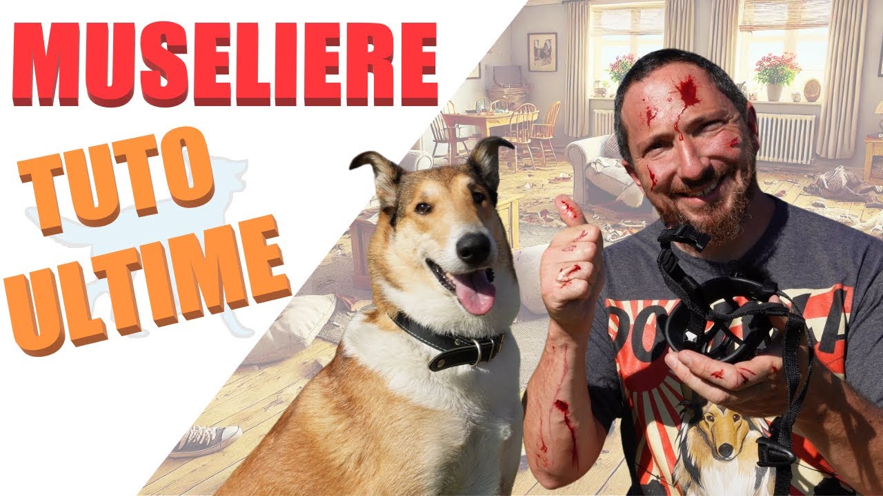 Apprendre la muselière à son chien (Question chien n°16)