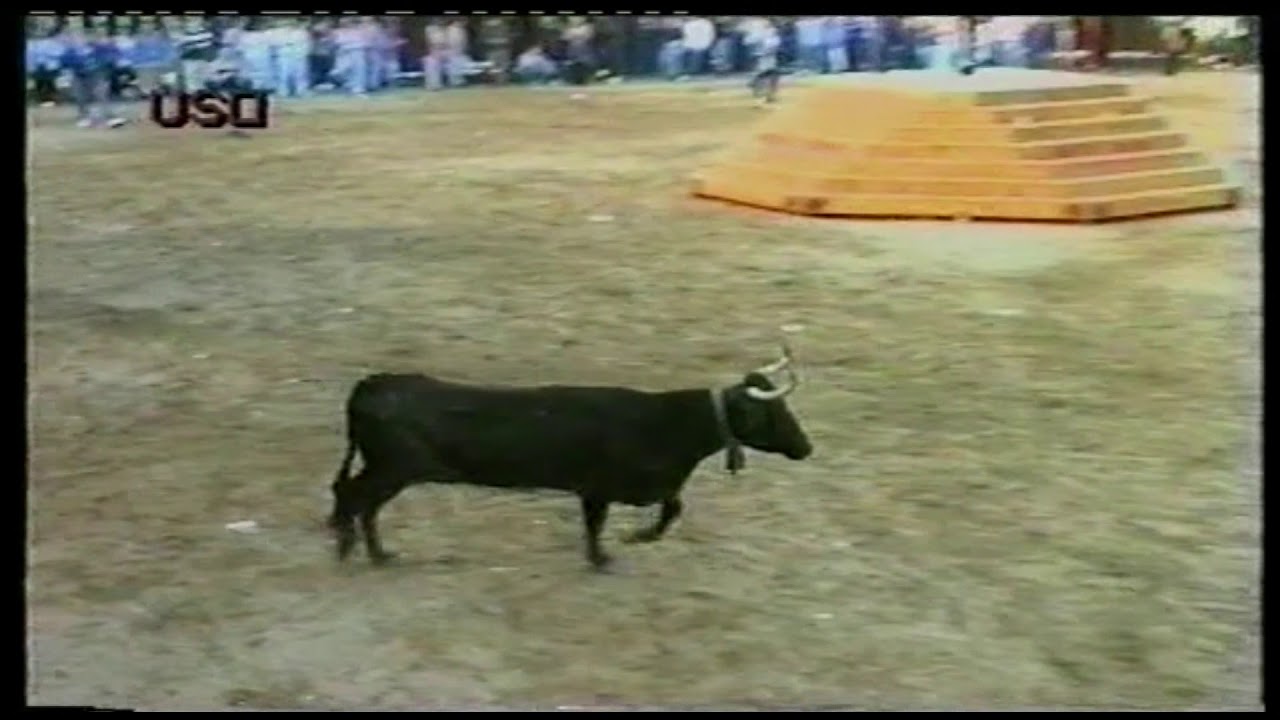 1996 04 09 ONDA PASCUA TAURINA CARLOS ORIENT