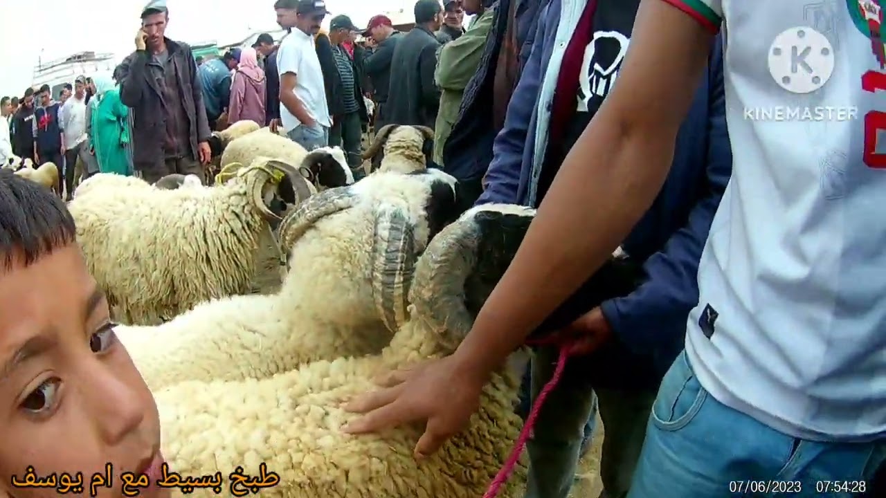 جولة فالسوق الأسبوعي للخروف🐑🐐🐏 زمورين في مدينة وزان
