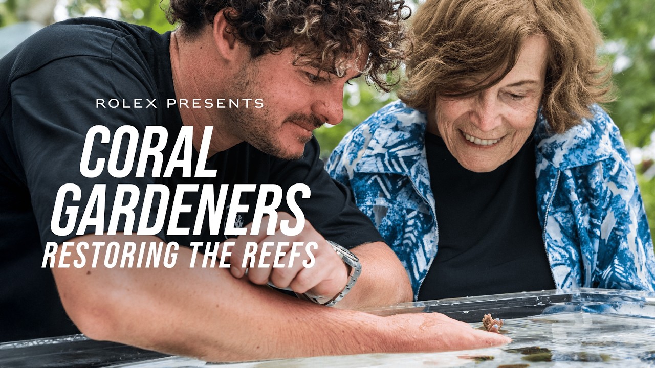 Rolex presents: Coral Gardeners &ndash; Restoring the Reefs