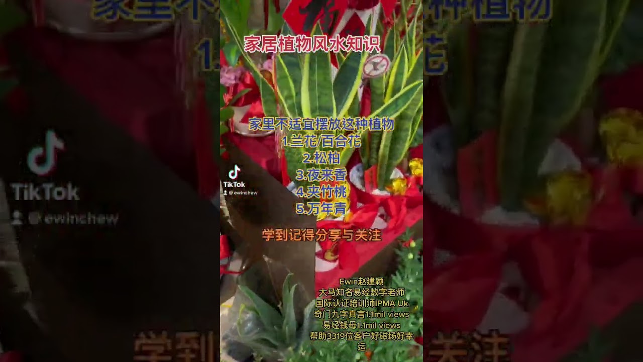 家里不能摆放的5种植物 很多人有摆第5种 