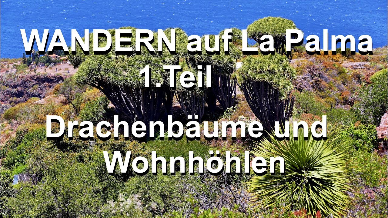 WANDERN auf La Palma 1.Teil - Drachenbäume und Wohnhöhlen bei Las Tricias