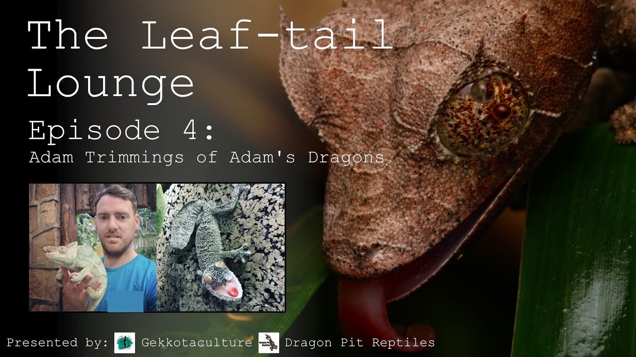 The Leaf Tail Lounge Ep.4 - Adam Trimmings of Adamsdragons