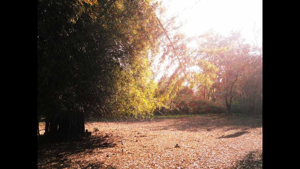 terabithia