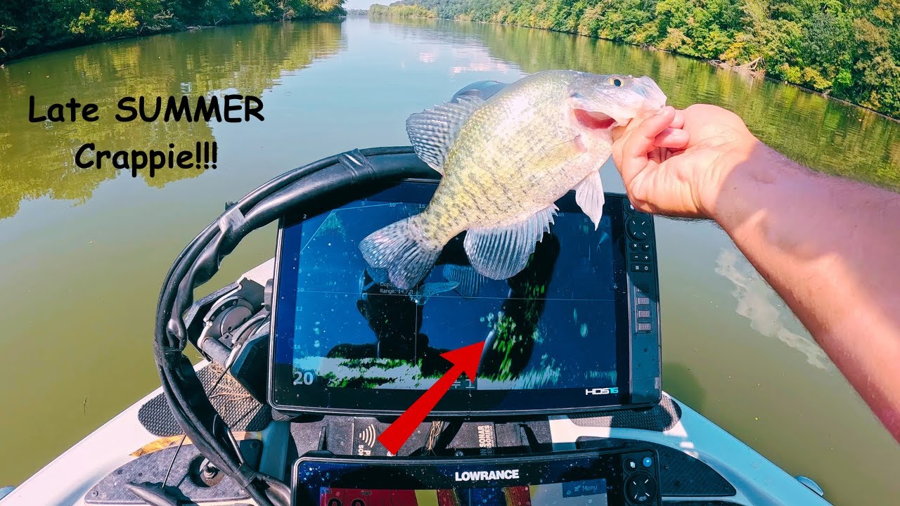 Late SUMMER Crappie Fishing 2025 USING Lowrance ACTIVE TARGET 2!!!