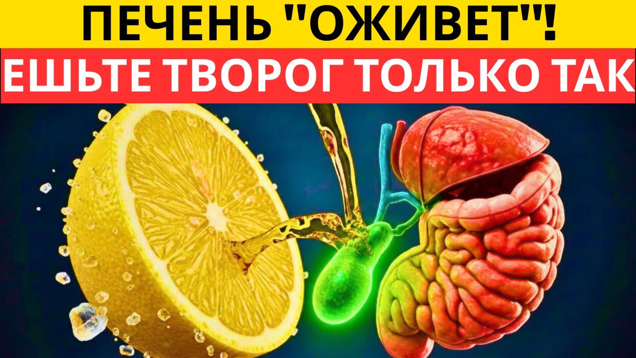 ЛИМОННЫЙ УДАР: почему одна долька с солью запускает активную работу желчного пузыря