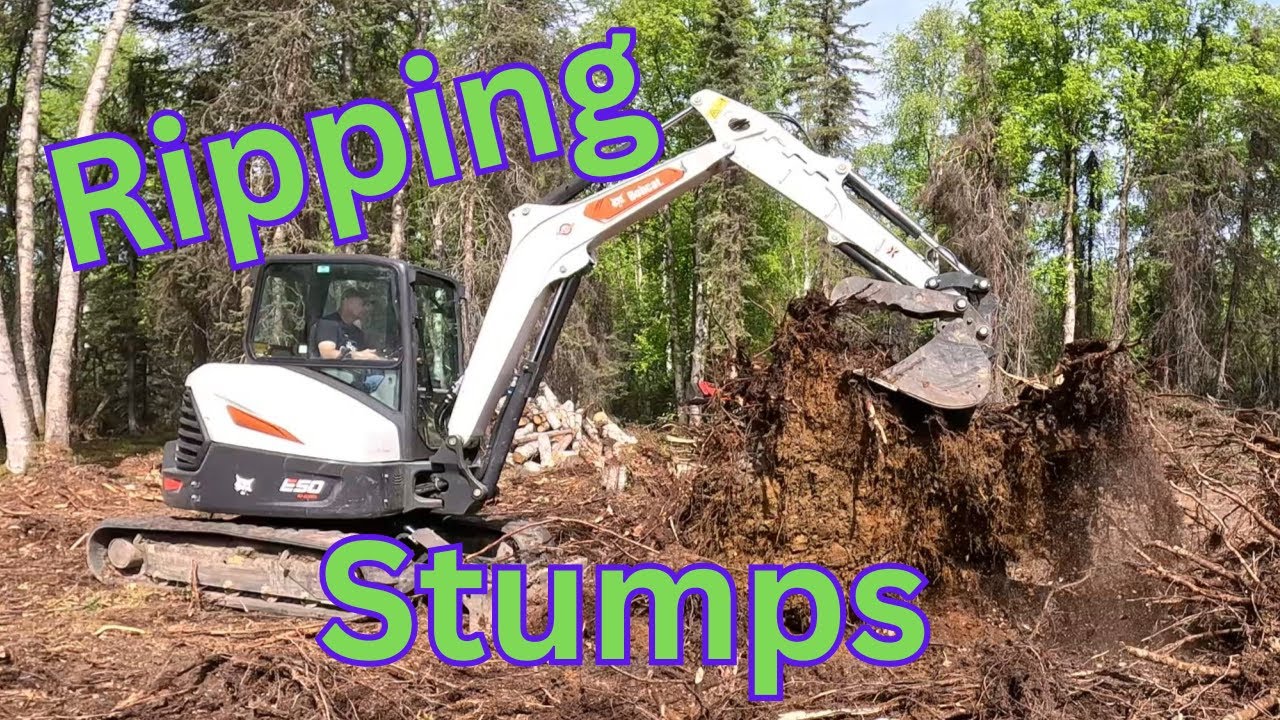 Removing Stumps With A BobCat E50 Excavator And Shipping Container Issues