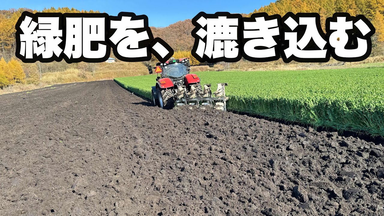2025年10月31日　緑肥を漉き込む