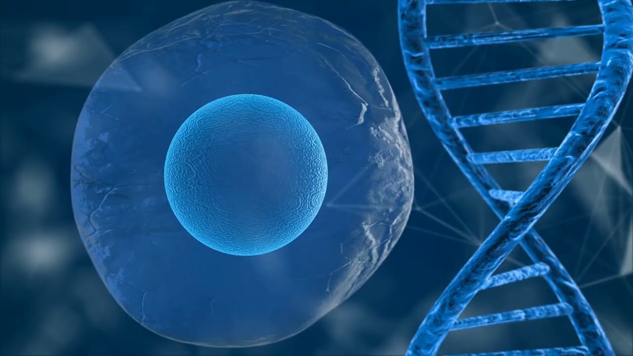 MAPK: El Futuro de la Terapia contra el Cáncer | Explicación fácil para estudiantes de medicina