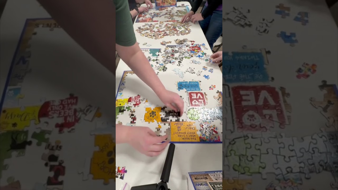 Puzzle Relay Jan 2026 #wisconsin  #speedpuzzling #shorts