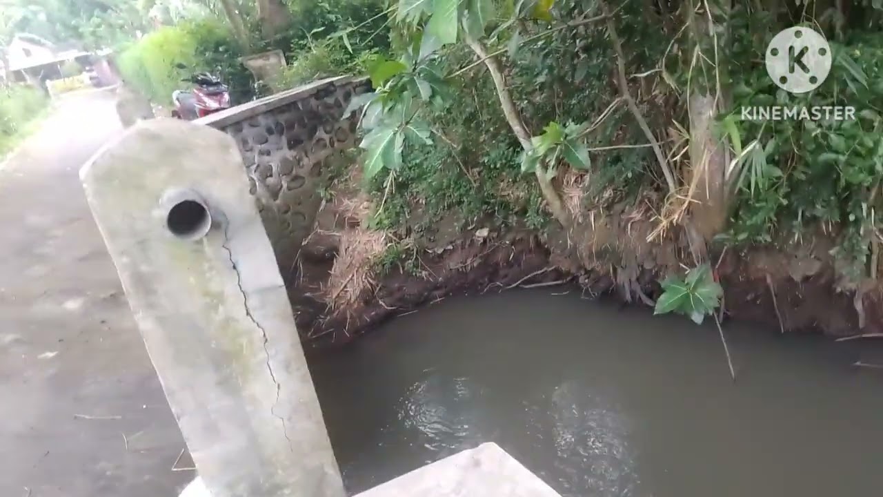 SII merah kali basin Sidoarjo 
