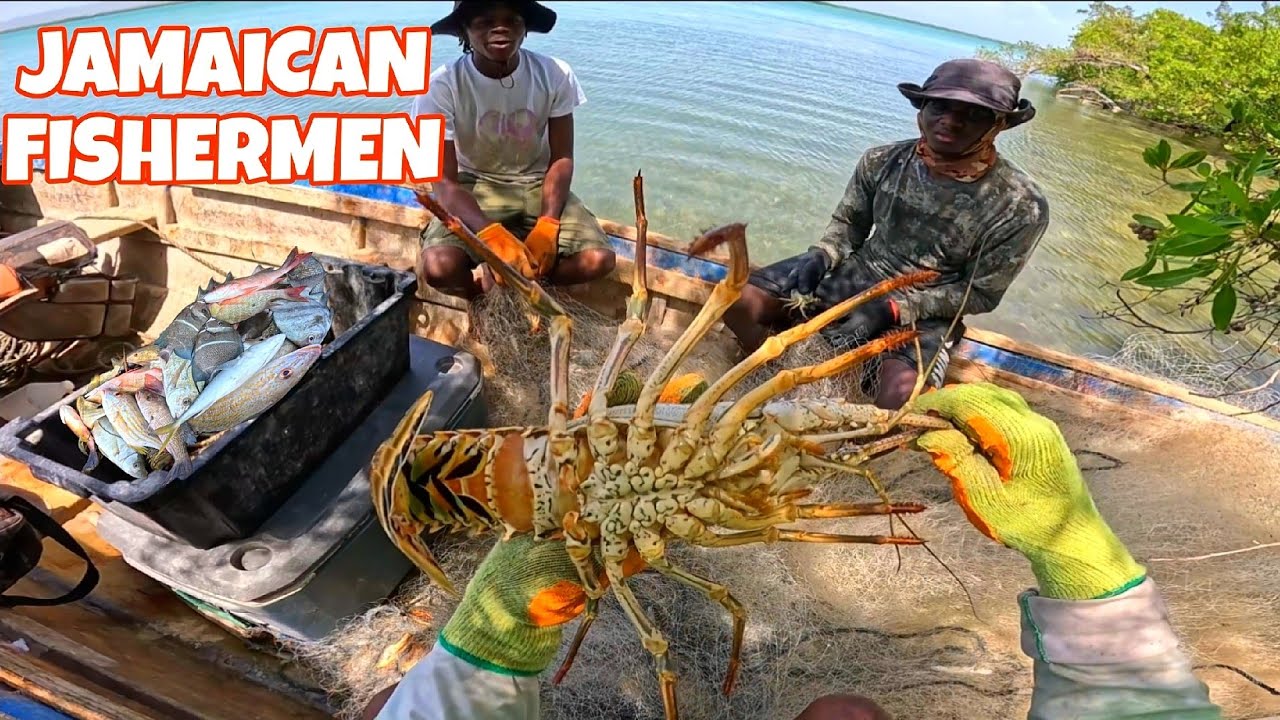 EPIC 8HRS OFF THE COAST CATCHING FISH,CRABS & LOBSTER FOR SALE‼️🇯🇲🇯🇲🇯🇲