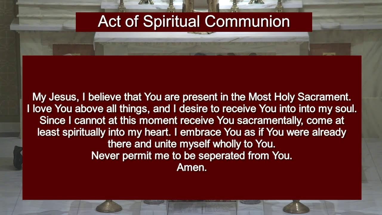 Daily Rosary & Mass | 2026.01.22