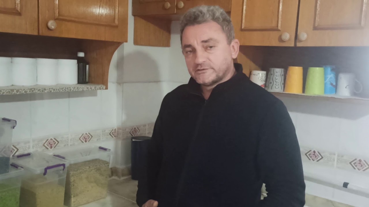 Kanaryalar İçin Mama Yapımı
