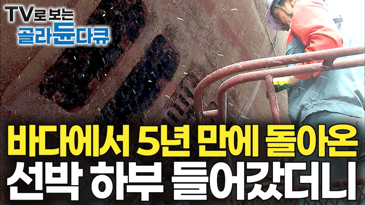 1만 톤 대형 선박이 바다에서 5년 만에 정박하면 생기는 일｜40년은 더 타야 한다｜대형 선박 때 빼고 광내는 과정｜비싸도 온다｜한국의 선박 수리 조선소｜극한직업｜#골라듄다큐