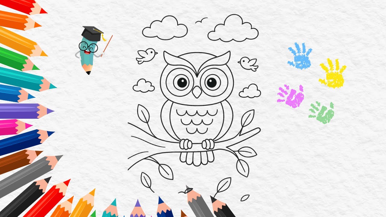 How To Drawing An Owl | Cute Drawing and Coloring | Owl Bird Drawing