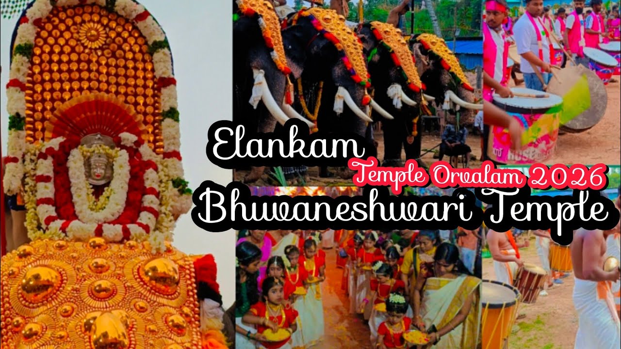 Elankam sree  🚩 bhuvaneshwari devi temple today festival | 2026 March 2  Parassala | #Elankam