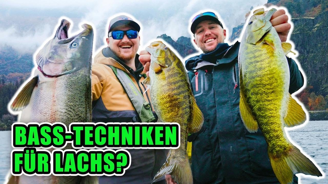 Bass-Köder vs. Silberlachs: Wir haben's ausprobiert – das passiert wirklich!