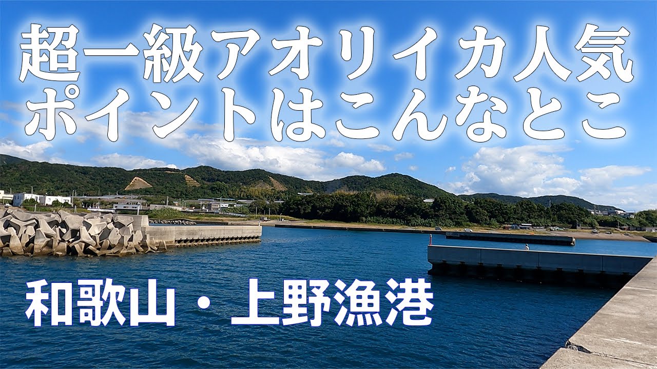 【釣り場動画#13】アオリイカ人気がすごい和歌山の超メジャースポット上野漁港（エギング・ヤエン）