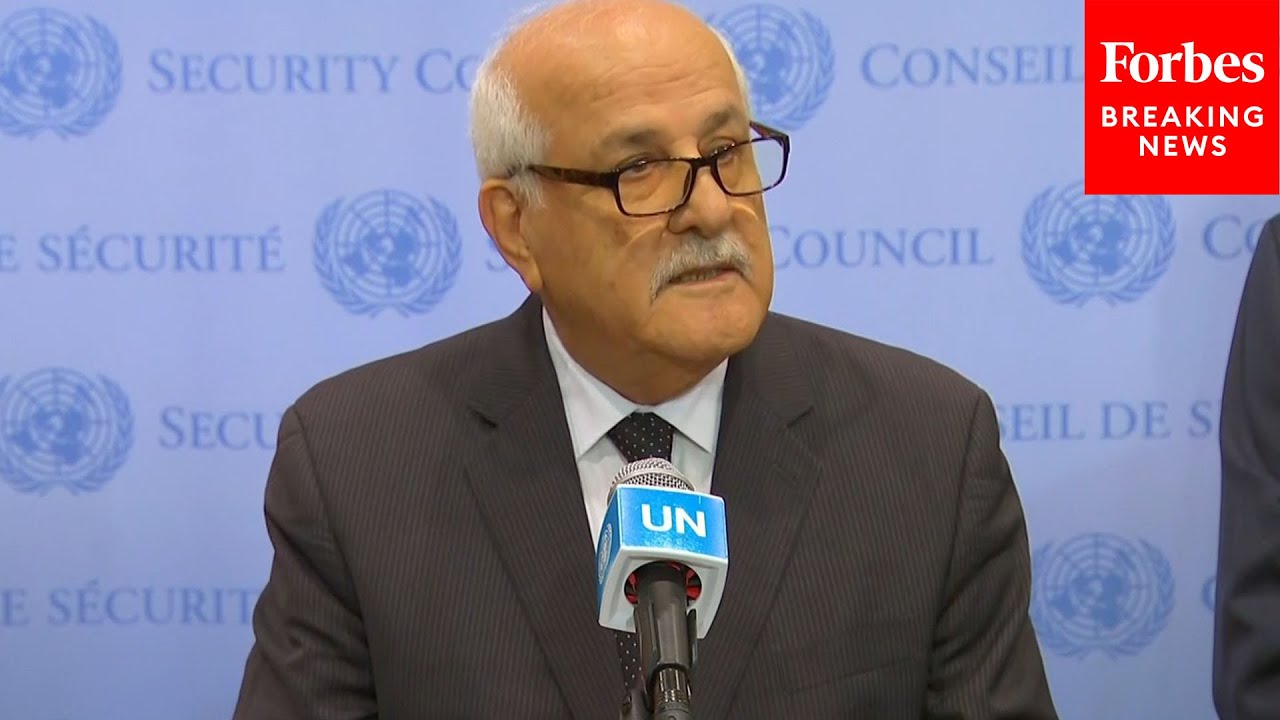 'We Are Not Subhumans': Palestinian UN Representative Riyad Mansour Decries Israeli Strikes On Gaza