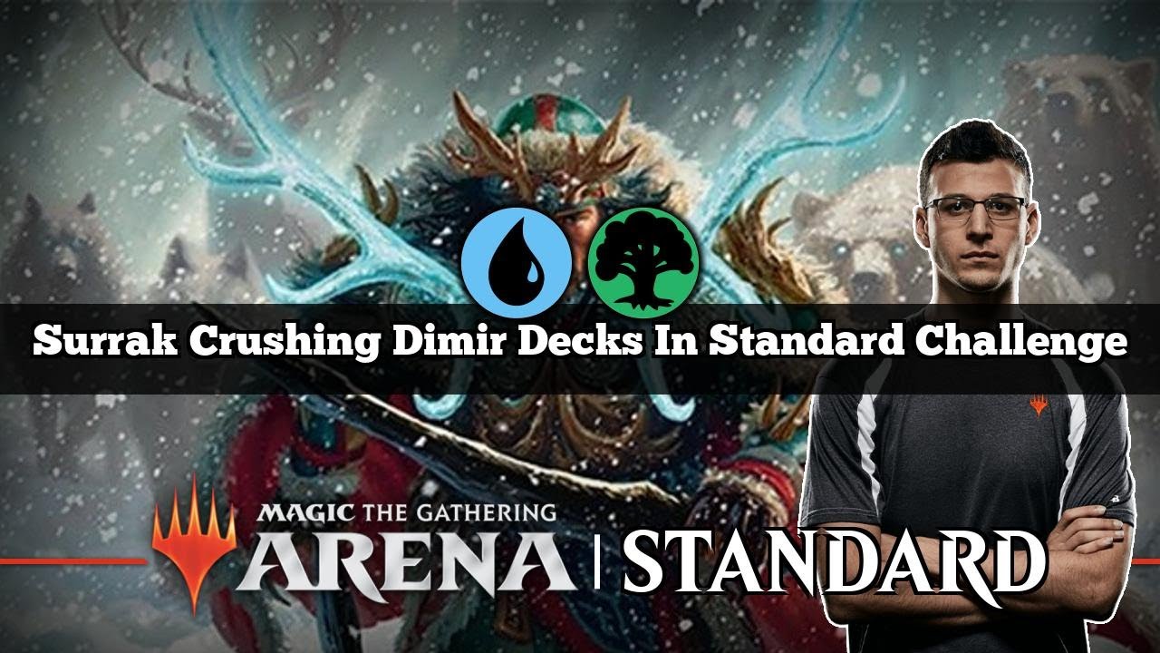 Surrak Crushing Dimir Decks In Standard Challenge | Simic Midrange | Standard Challenge | MTG Aren