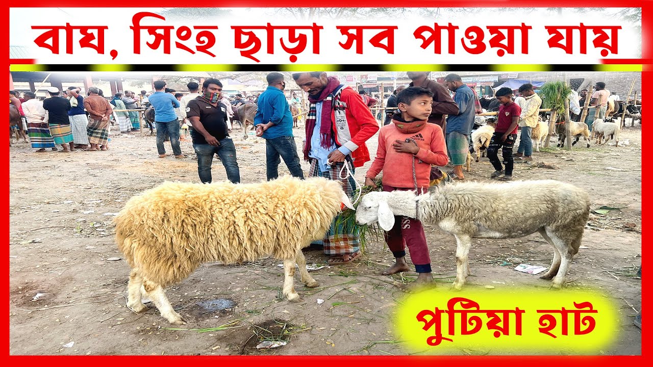 Putia Hat: Exploring The Traditional Market Of A Charming Village!