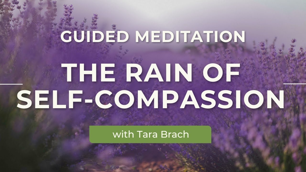Guided Meditation: The RAIN of Self-Compassion, with Tara Brach