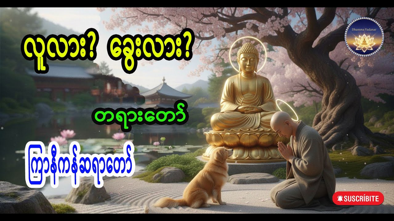 လူလား ခွေးလား တရားတော် ကြာနီကန် ဆရာတော် #ကြာနီကန် #ဓမ္မဗီဒီယို