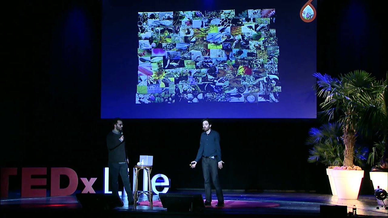 Innovation et design par le biomimétisme | Guillian Graves & Michka Mélo | TEDxLille