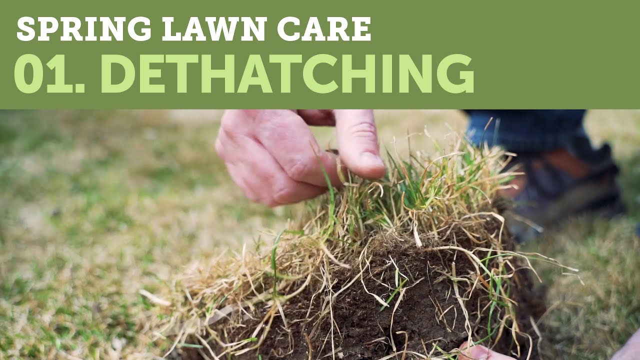 Boost Lawn Health With Spring Time Dethatching