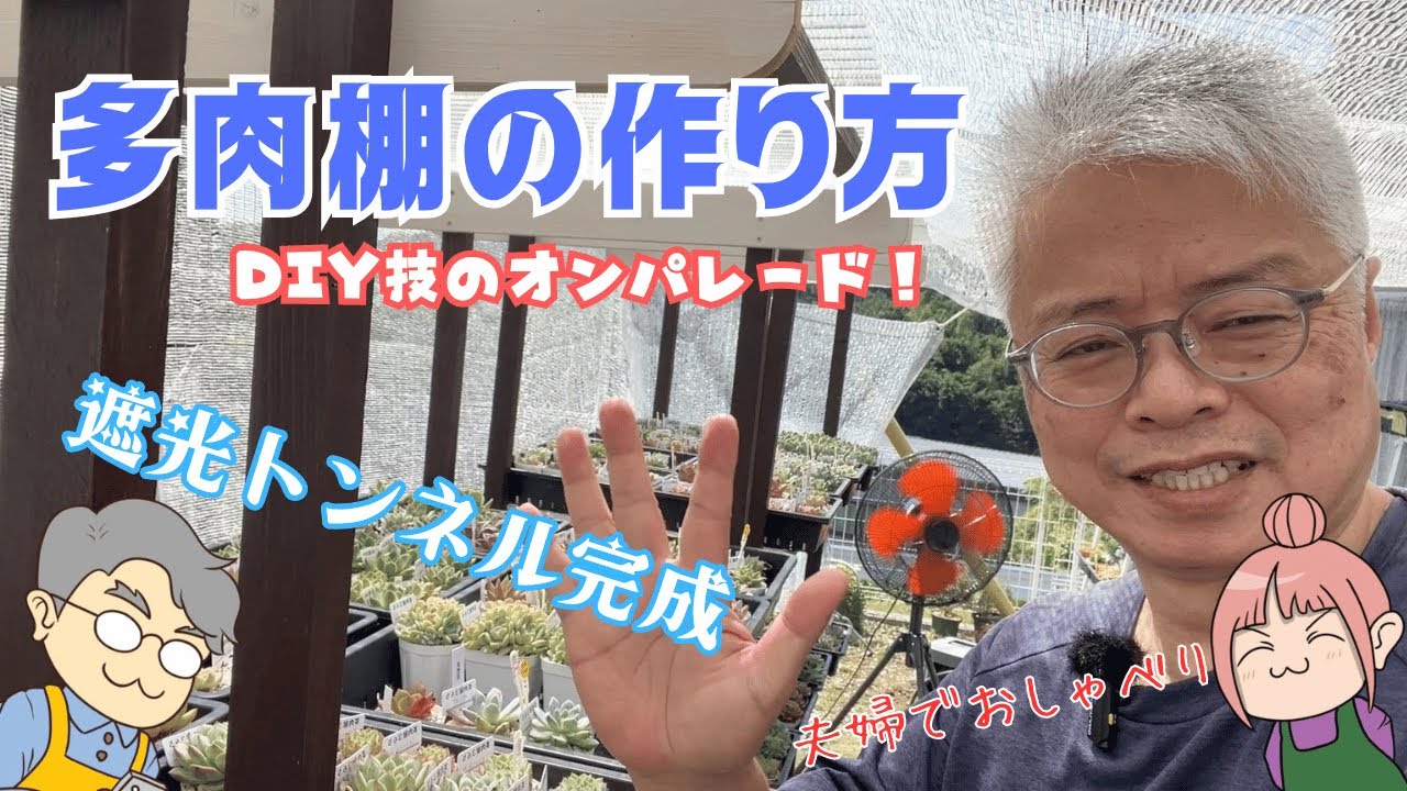 【多肉植物DIY】波板屋根付き多肉棚の作り方！手作りメリットや１００均アイテム利用して遮光ネットトンネル完成