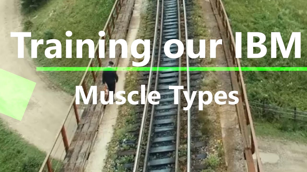 #116 Training IBM Muscle Types