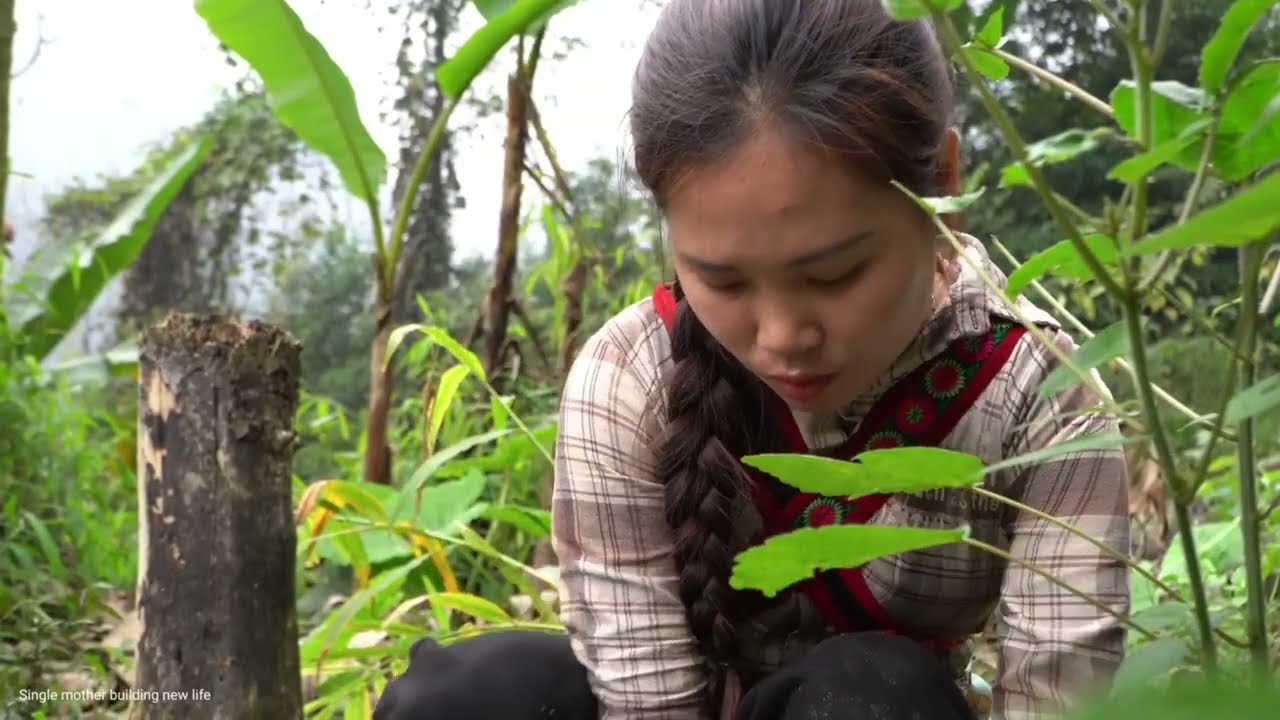 Full video: Harvesting ginger, green vegetables, and bamboo shoots for sale at the market