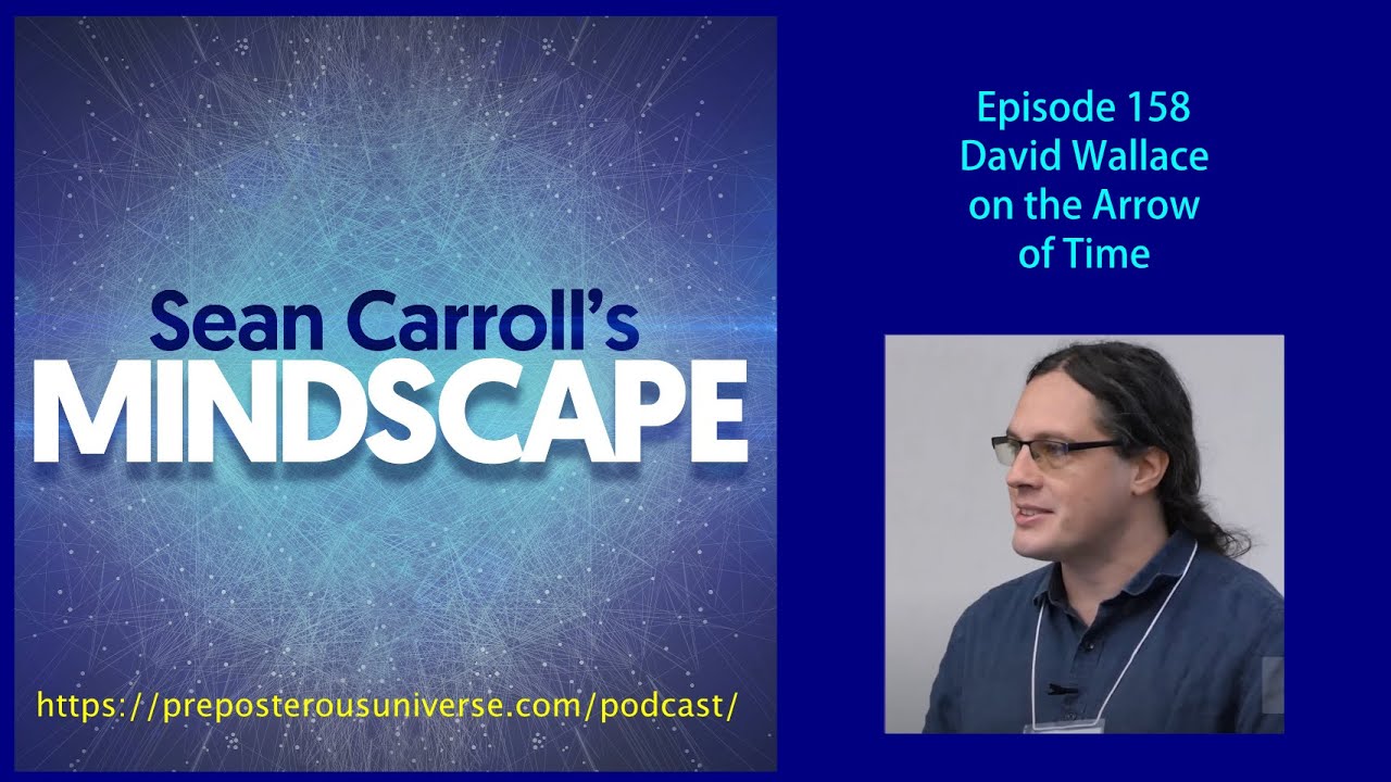 Mindscape 158 | David Wallace on The Arrow of Time