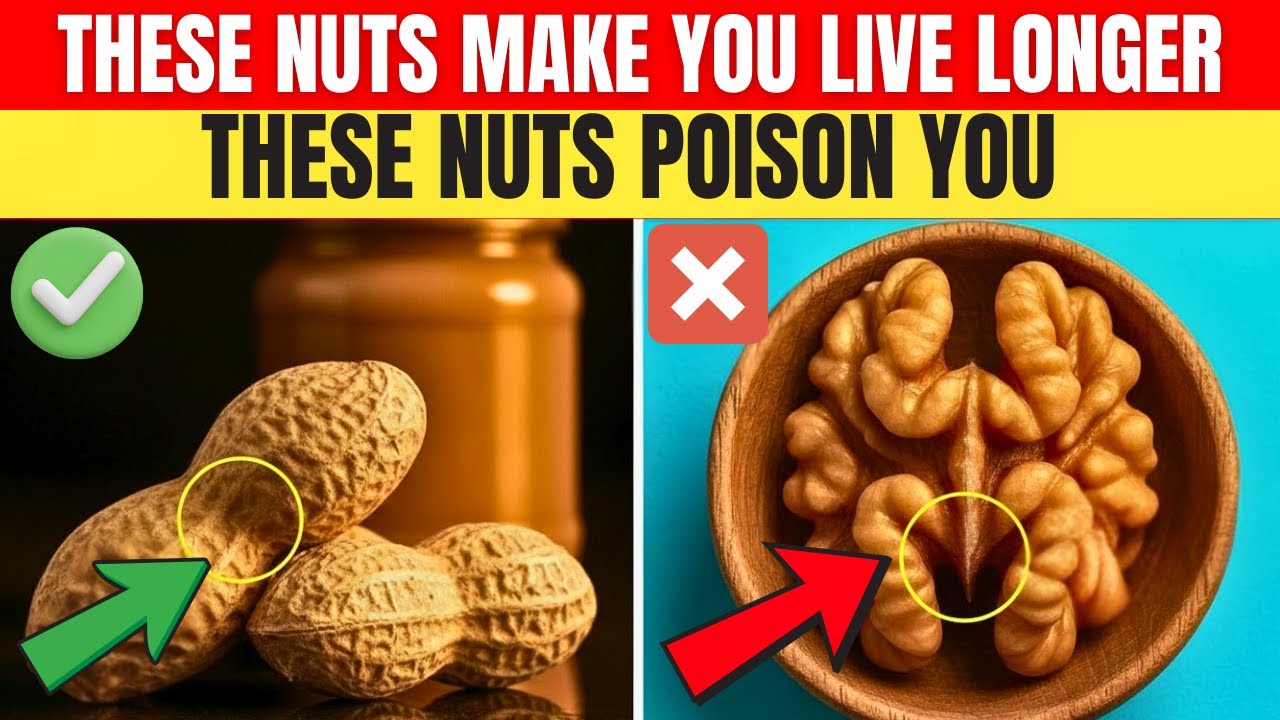 DOCTORS EXPLAIN: 4 nuts women over 60 need and 4 to avoid forever.
