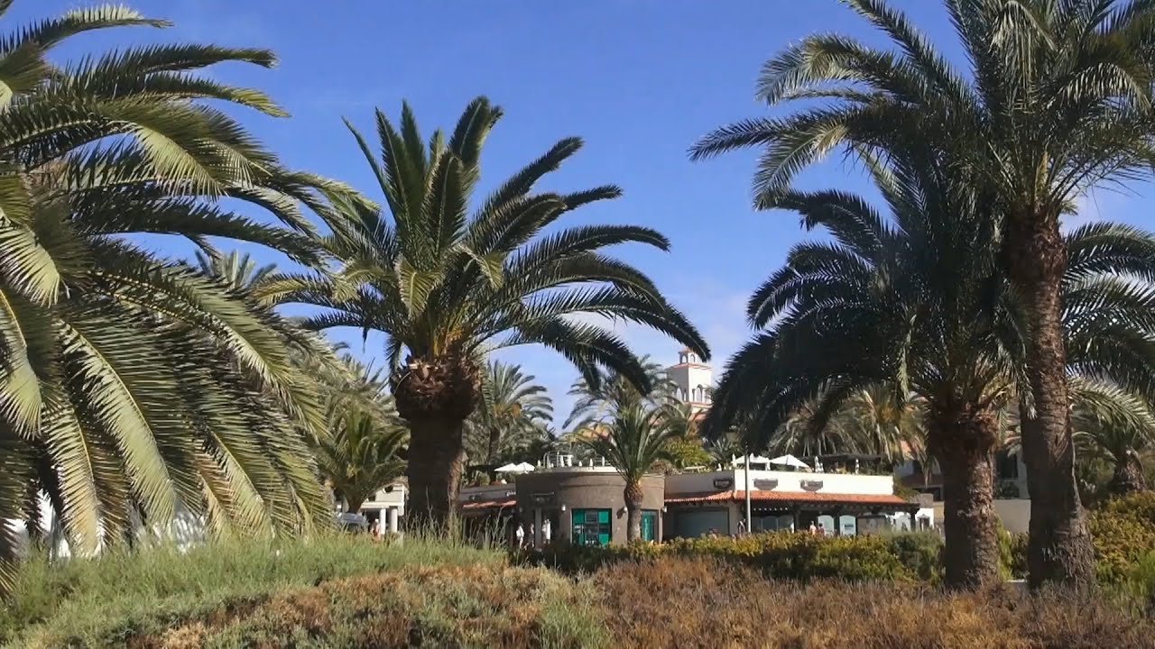 Gran Canaria 2019-06