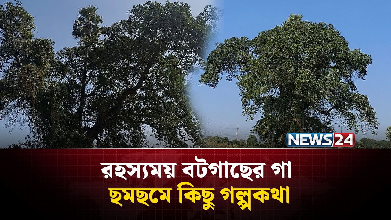রহস্যময় বটগাছের উপর তালগাছ, গা ছমছমে অলৌকিক ঘটনা | NEWS24 Special