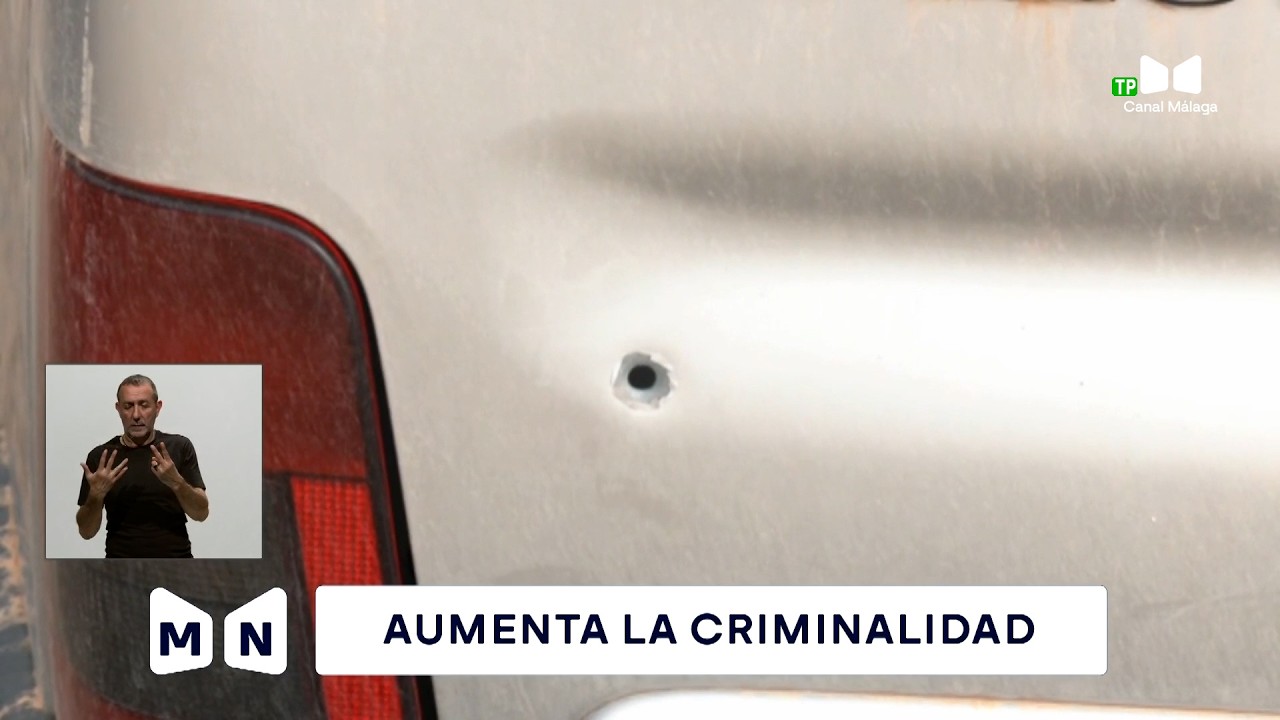 Málaga registra cada hora once delitos.
