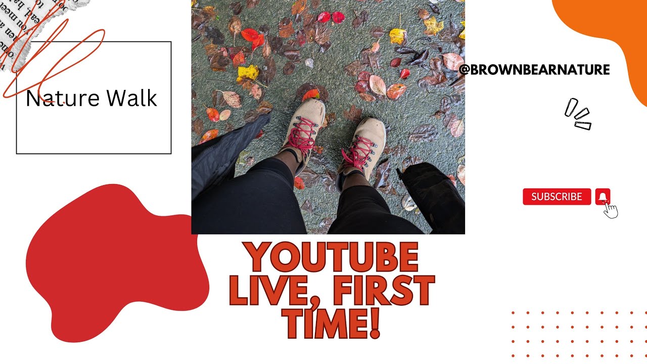 Brown Bear Nature is live!