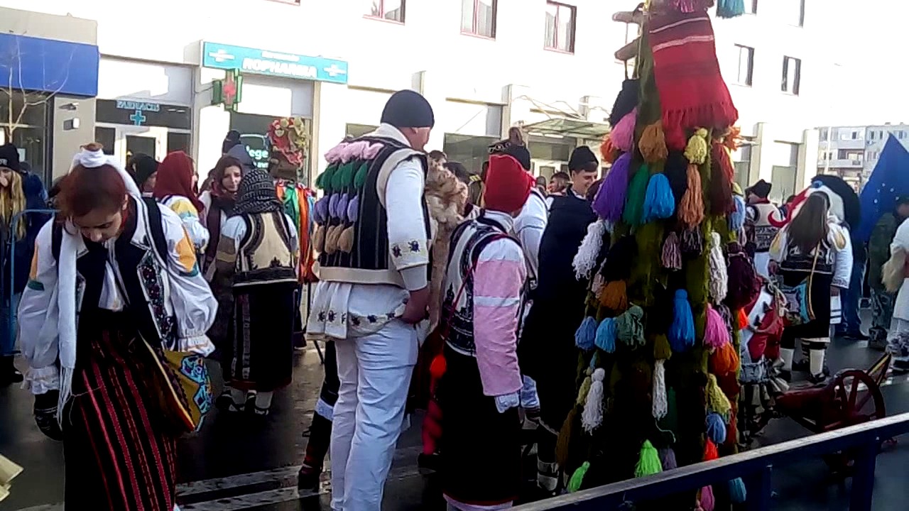 Traditii de anul nou bacau