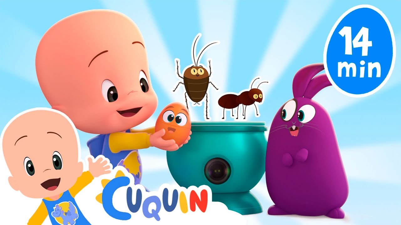 ¿Qué hay en el huevo? ¡Insectos! | Aprende con Cuquín