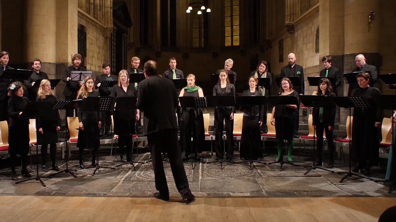 Meesters&Gezellen 2018 | Daniel Reuss | Johann Sebastian Bach - Komm, Jesu, komm BWV 229