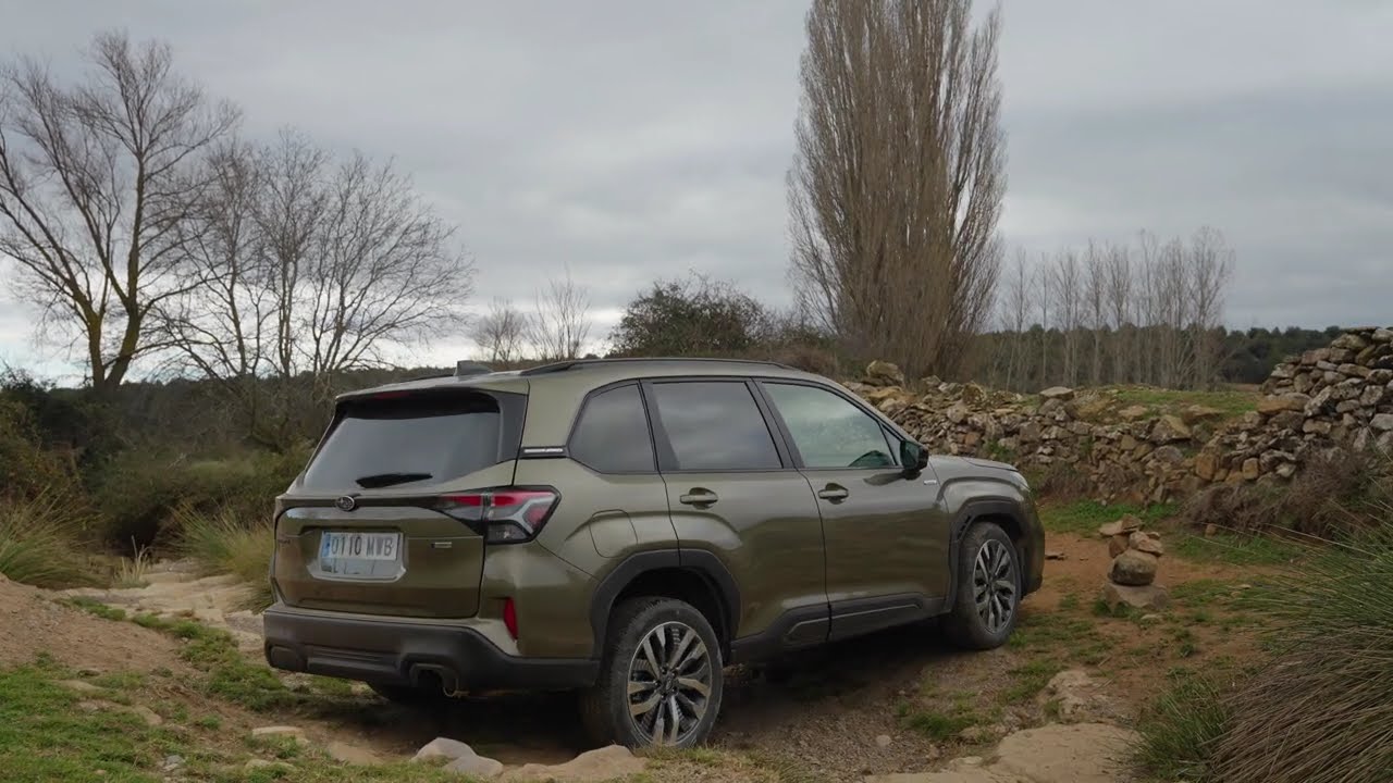 Probamos el Subaru Forester 2025: Un SUV Compacto Ideal para Familias y Aventureros