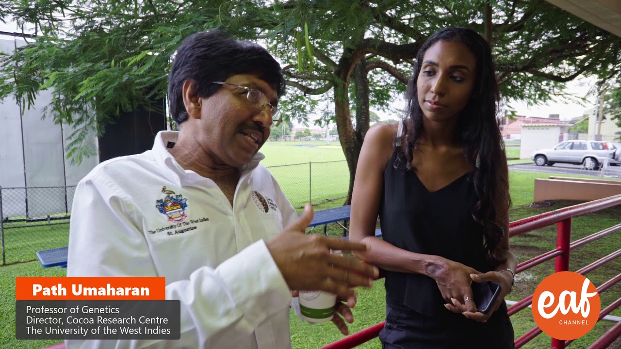 Interview with Path Umaharan - Director, Cocoa Research Centre