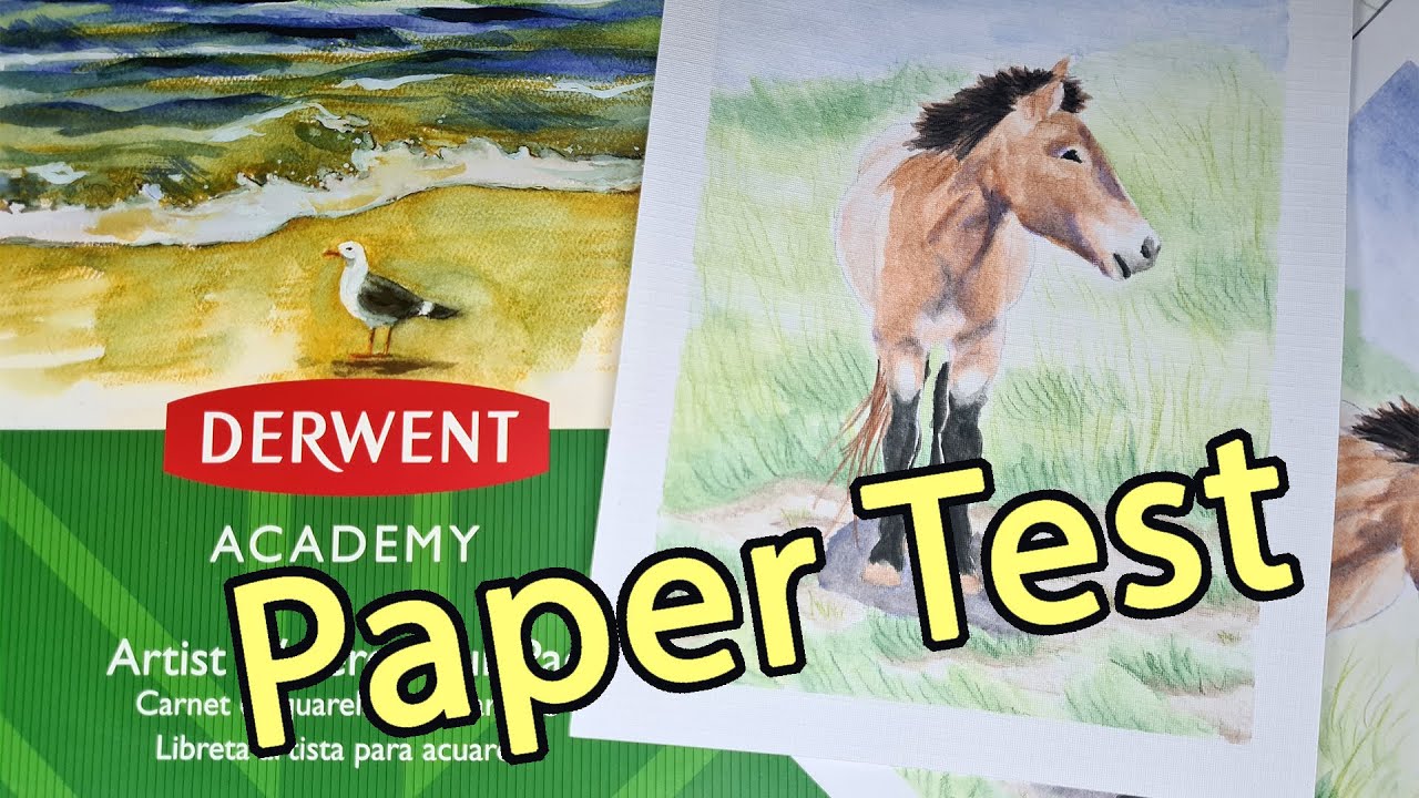 PAPER TEST - Derwent Academy Watercolour with Faber-Castell Albrecht Durer Watercolor Pencils.