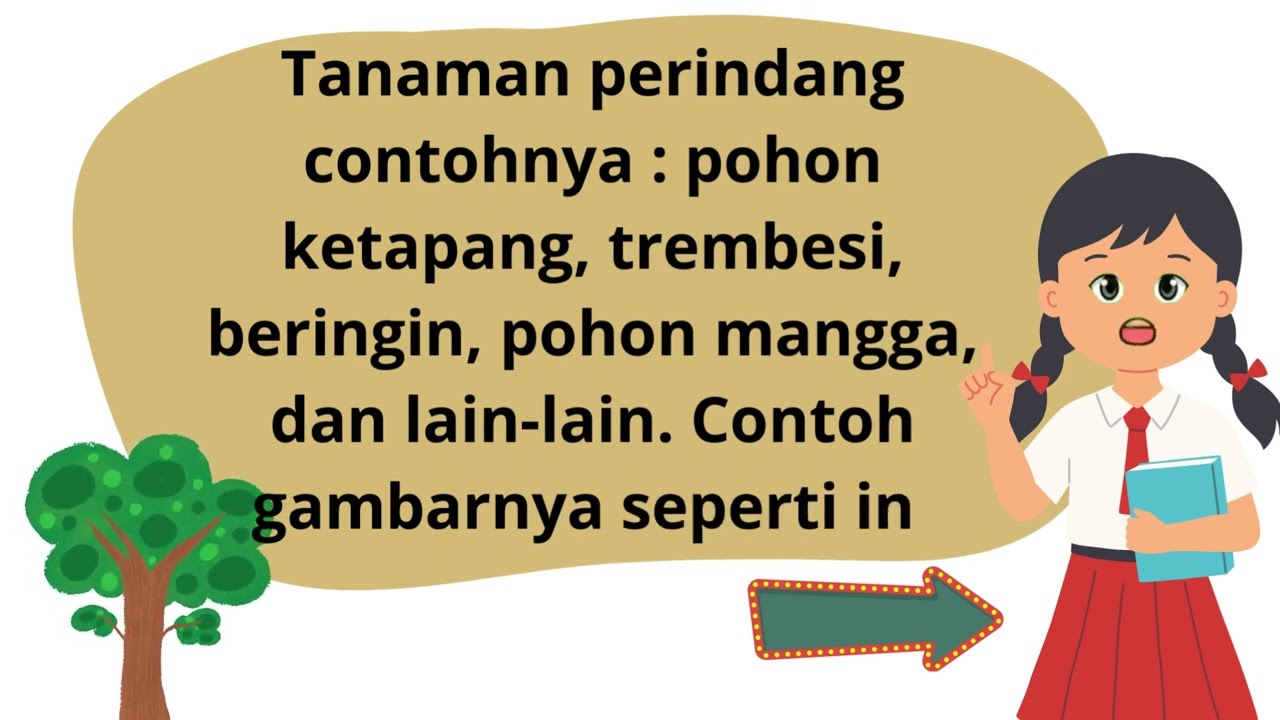 Jenis Jenis Tanaman 1