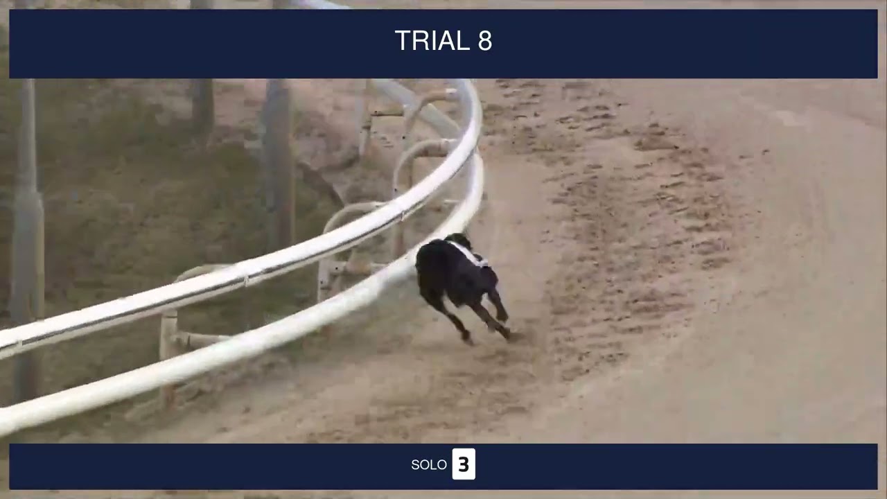 Newcastle Trials on 14th January 2026