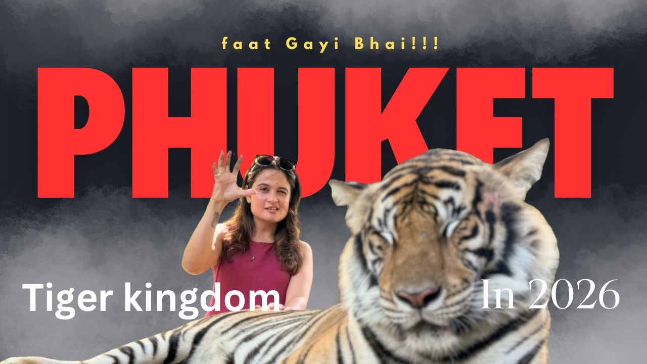 Play with Big & Small tigers in Tigerkingdom Phuket | Thing to do in Phuket | Phuket Vlog |faat gyi 