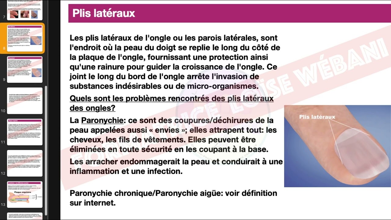 Anatomie et fonction de l'ongle. Cours gratuit pour débutantes en stylisme ongulaire.